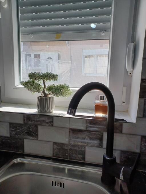 Petite Suite With Backyard. Mytilene Exterior foto